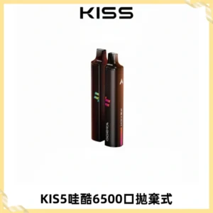 KIS5WAGOO哇酷6500口拋棄式 | 自由混搭雙口味 | 雙芯組合