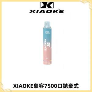XIAOKE梟客7500Puffs跑馬燈拋棄式電子煙 可發光一次性